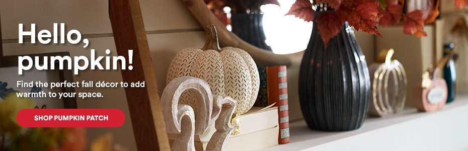 Hello, pumpkin! Find the perfect fall décor to add warmth to your space. Shop Pumpkin Patch.